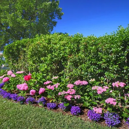 Majestic In With Pool * Лоро-Чуффенна