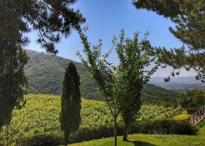 Majestic In With Pool Holiday home Loro Ciuffenna